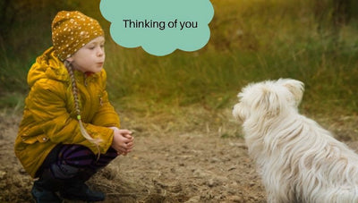 Thinking of you
